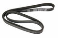 Alfa Romeo GT Auxiliary Belt. Part Number 60666950