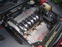 Alfa Romeo GTV  CUP N0.24 LIMITED EDITON