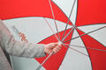 Alfa Romeo Spider Umbrella. Part Number 311003