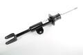 Alfa Romeo  Shock absorbers. Part Number 50557148