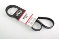 Alfa Romeo Auxiliary Belt. Part Number 55245963
