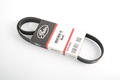 Alfa Romeo Auxiliary Belt. Part Number 60596949