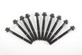 Alfa Romeo  Head bolts. Part Number 7696197